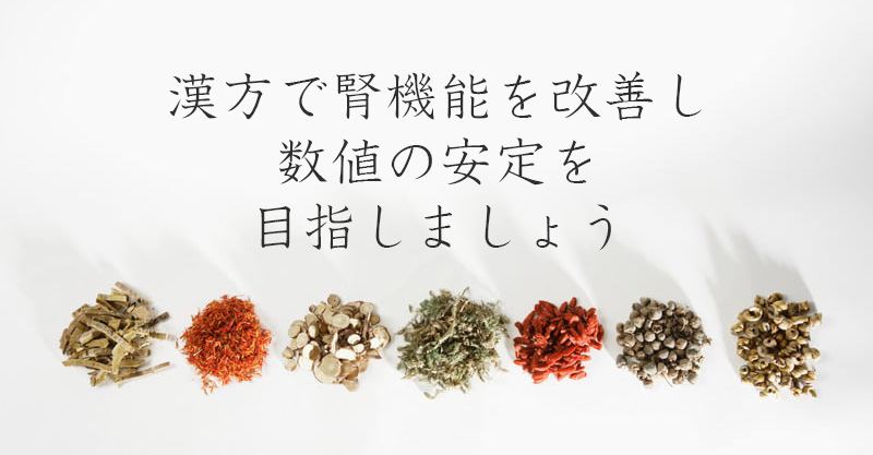 漢方で腎機能を改善し数値の安定を目指しましょう